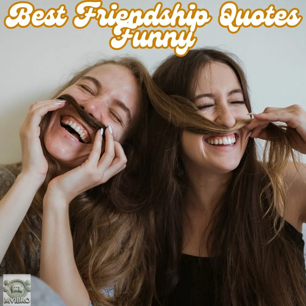 Best Friendship Quotes Funny