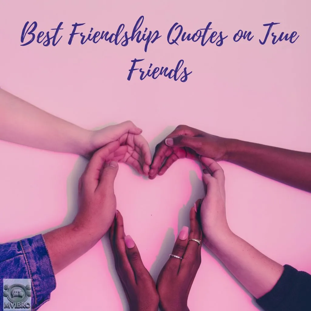 Best Friendship Quotes On True Friends