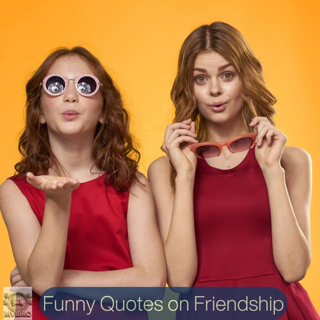 Funny Quotes On Friendship