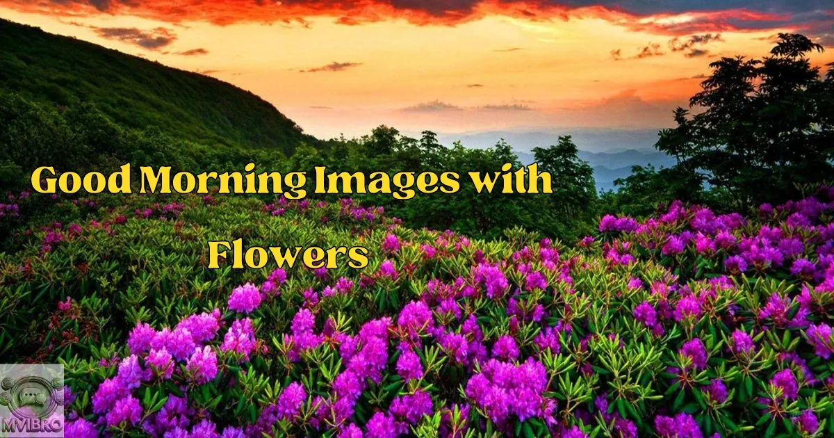 Good Morning Images With Flowers