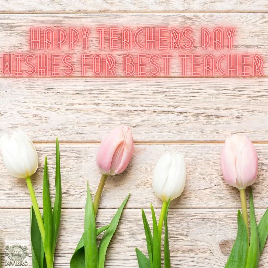Happy Teachers Day Wishes For Best Teacher