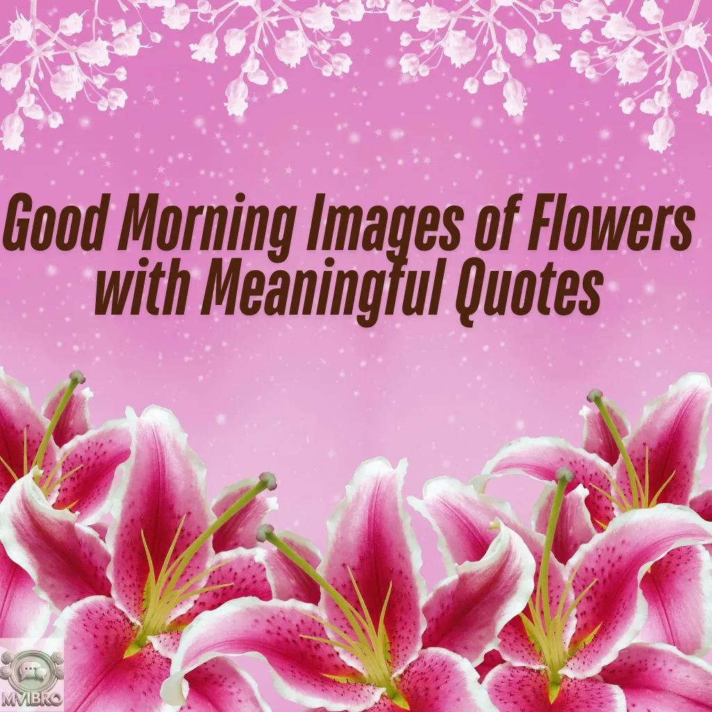 Images Of Flowers With Meaningful Quotes