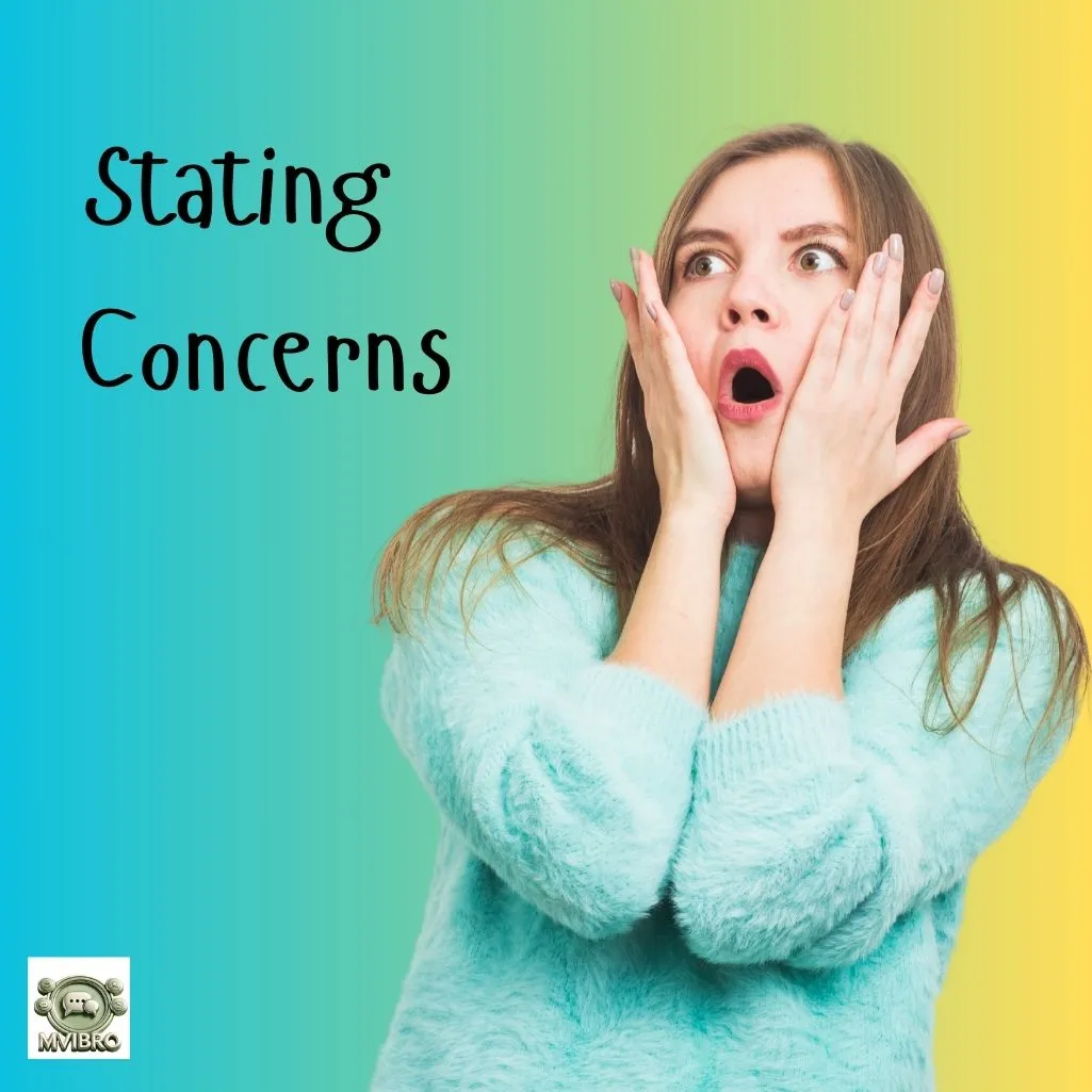 Stating Concerns